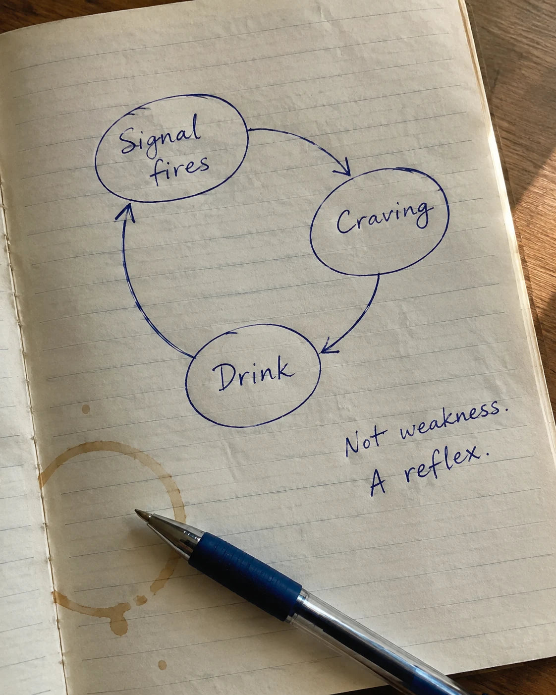 Handwritten diagram of the craving loop: signal fires, craving, drink