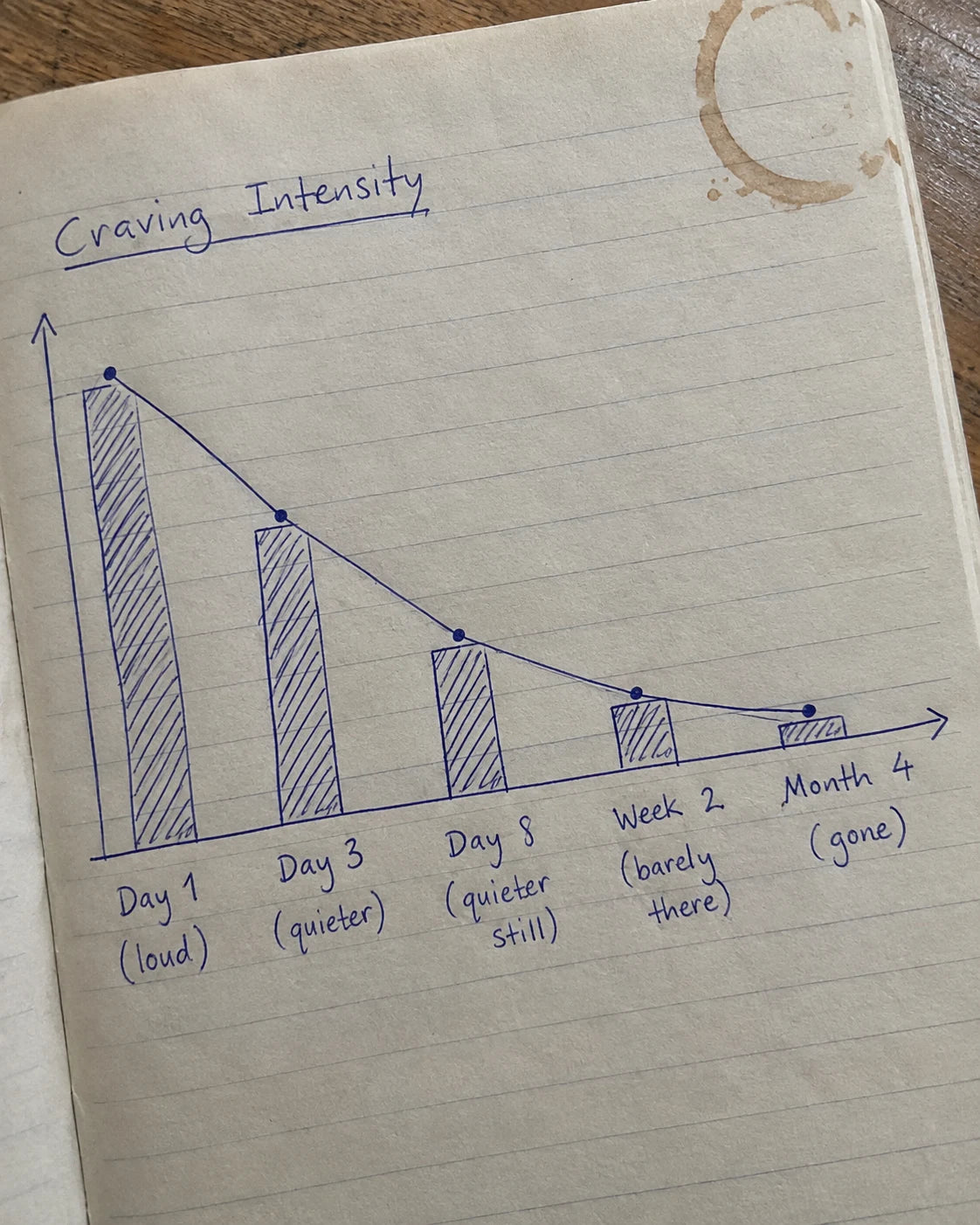 Handwritten diagram showing craving intensity declining from Day 1 to Month 4