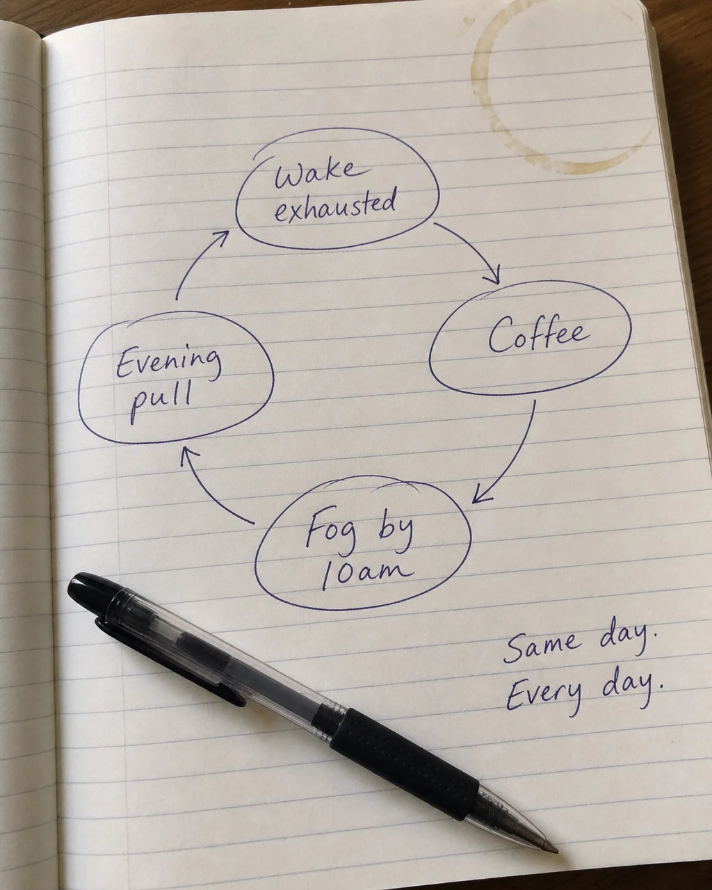 Handwritten daily cycle diagram: wake exhausted, coffee, fog, evening pull