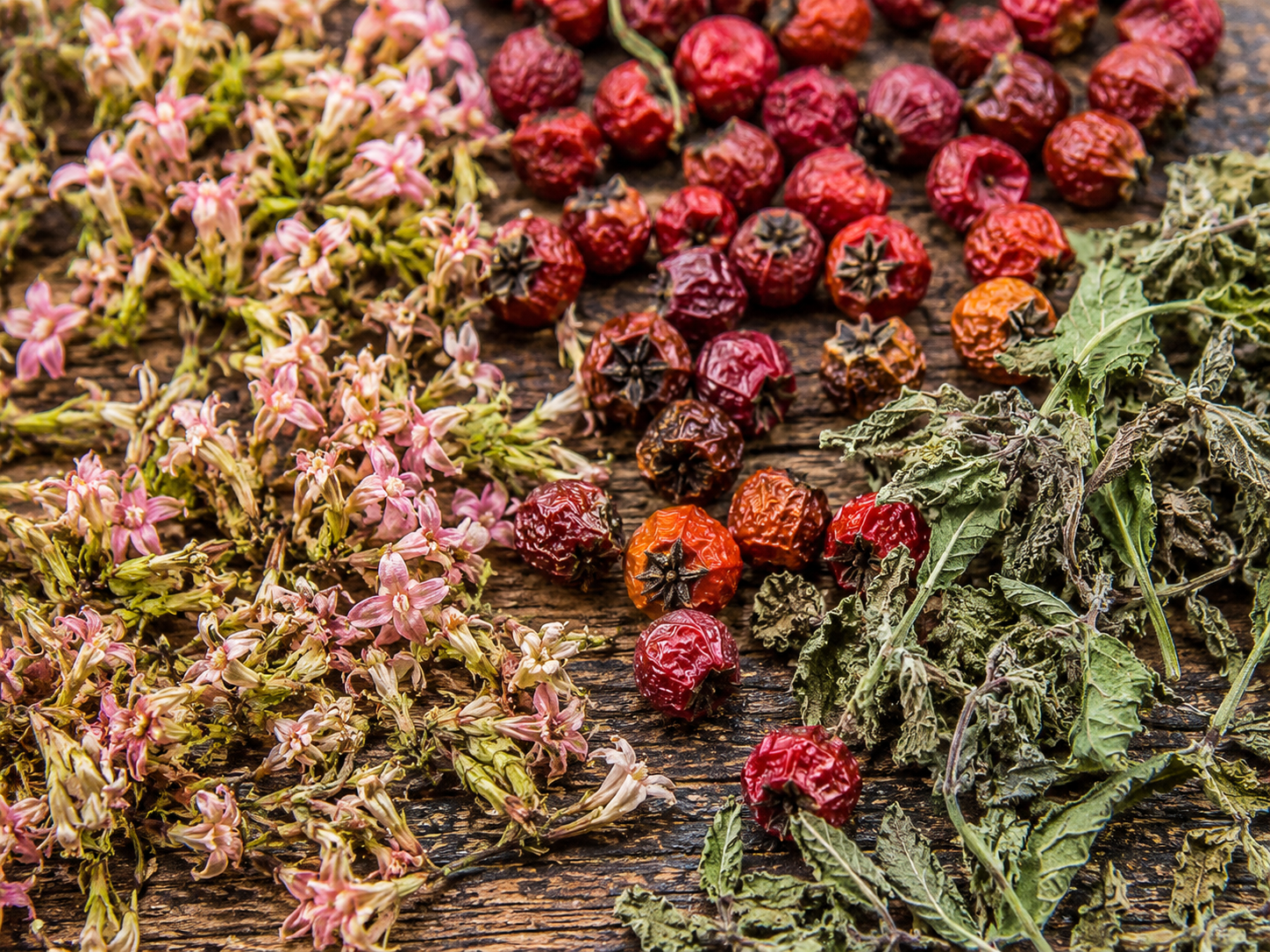 Centaury, Hawthorn, and Motherwort laid out